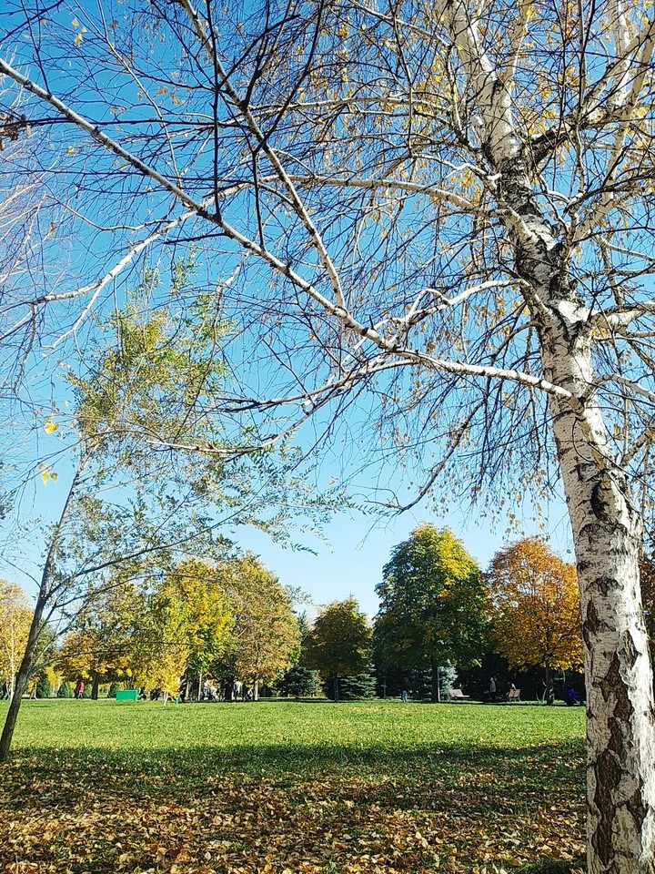 Almaty?