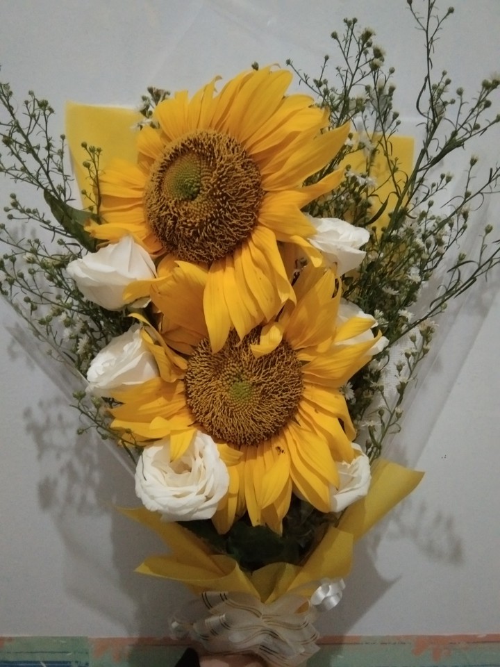 sun flower