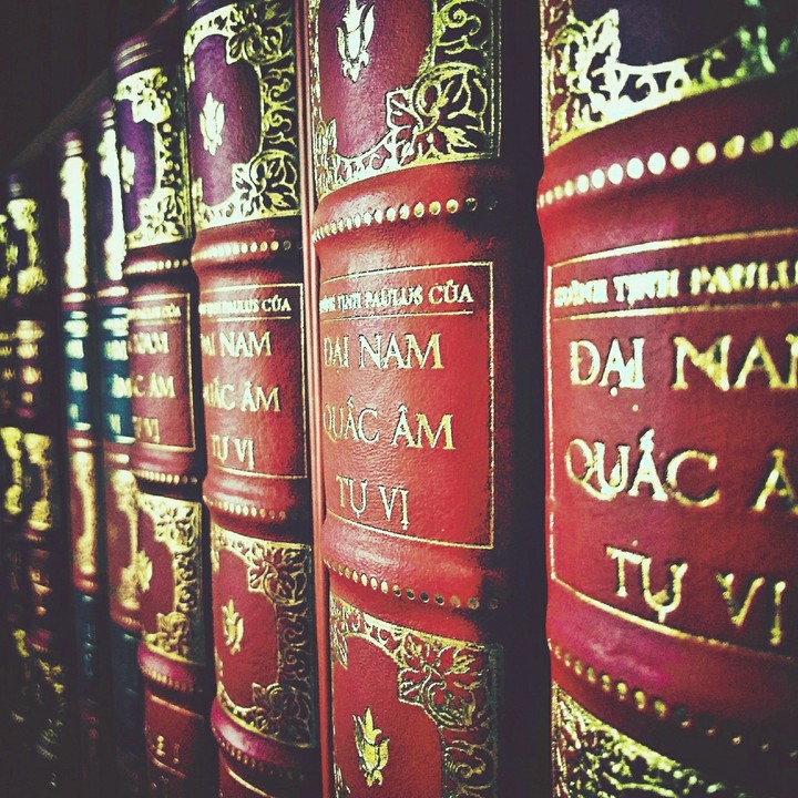 Vietnamese Dictionary