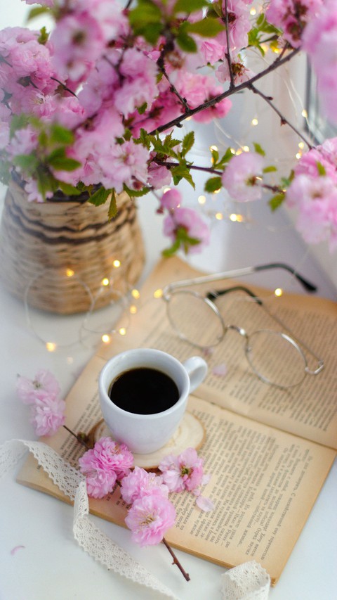 plant, drinkware wallpapers