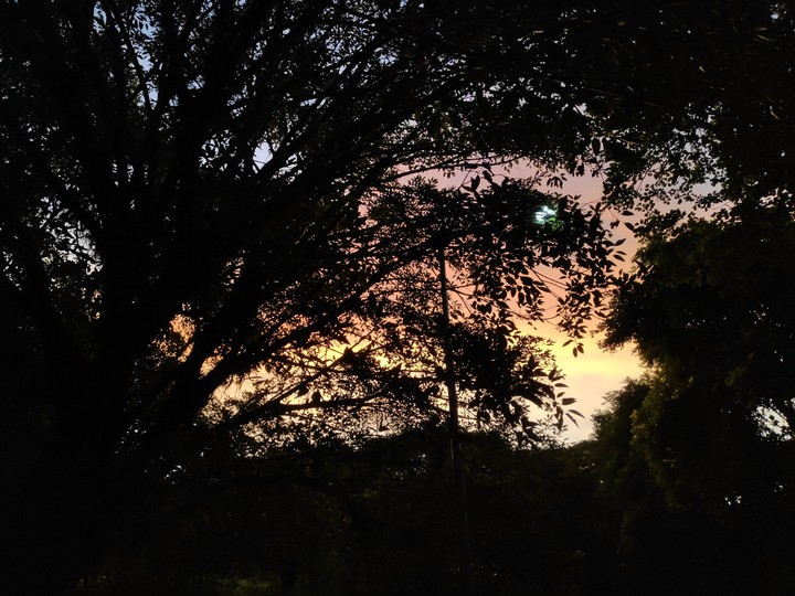 Evening Bliss
