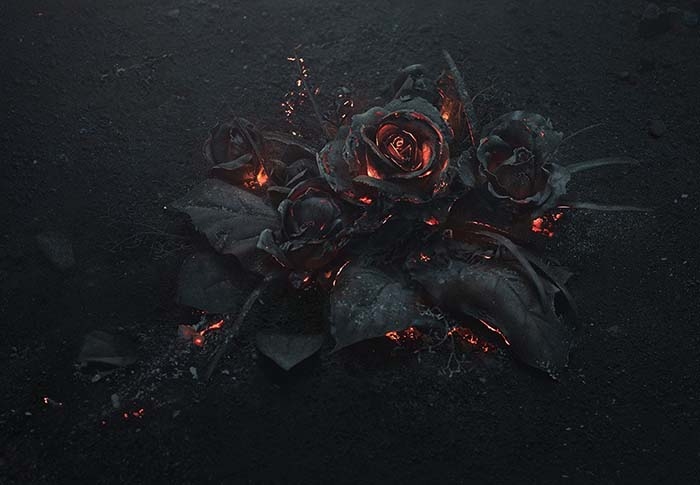 roses fire