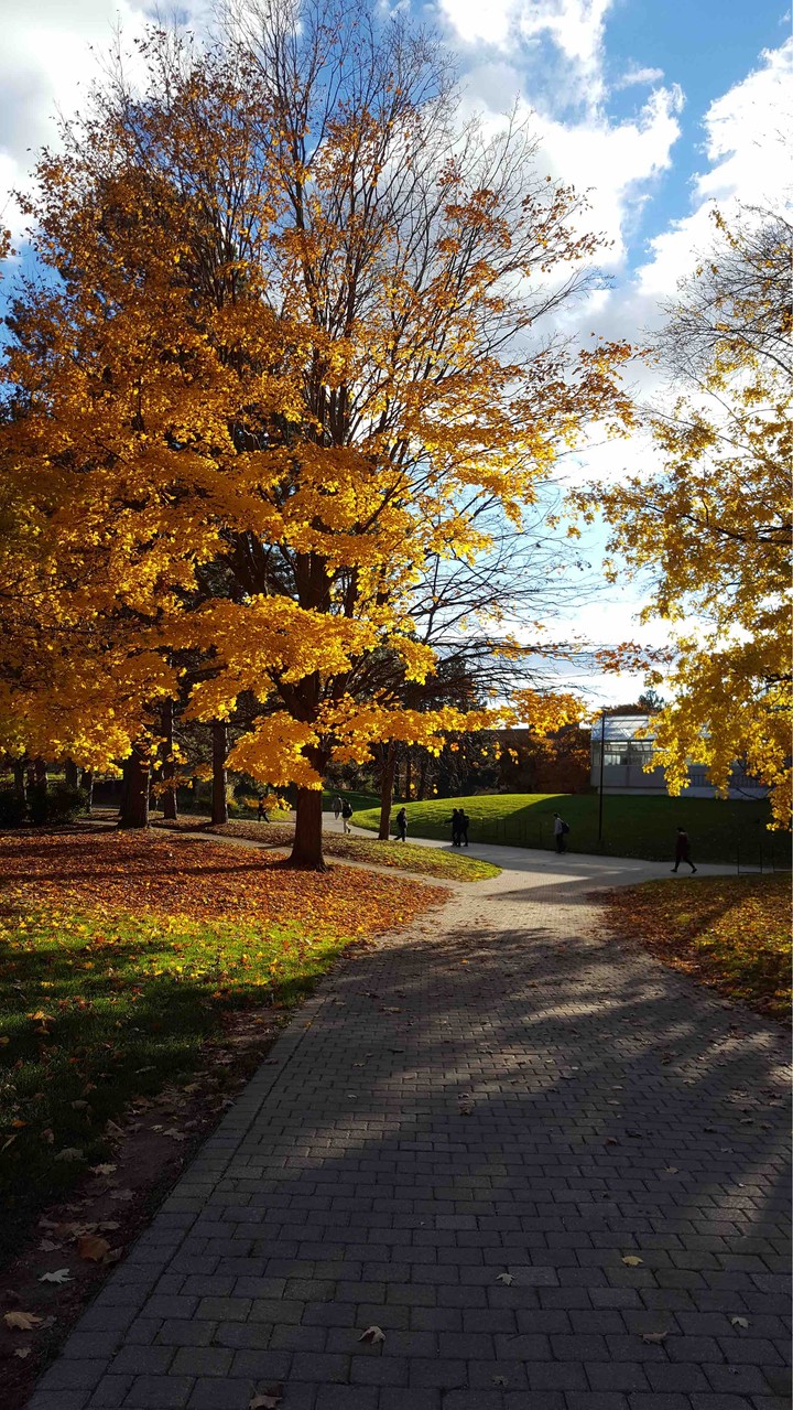 Fall