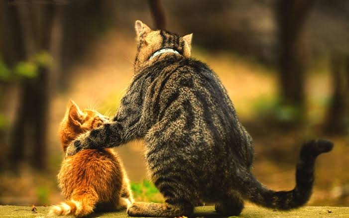 friends