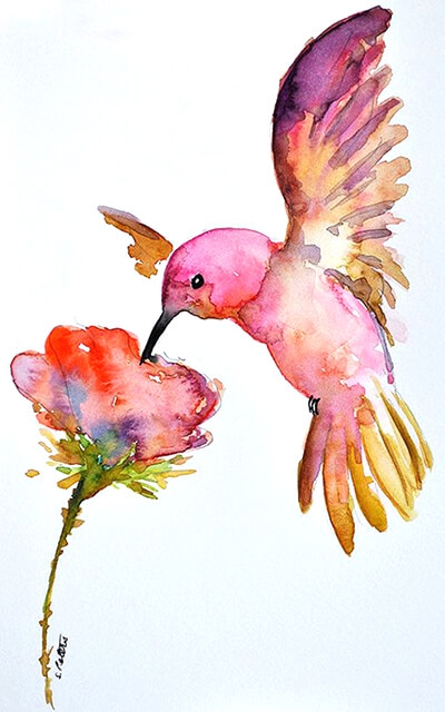 Kolibri - Aquarell