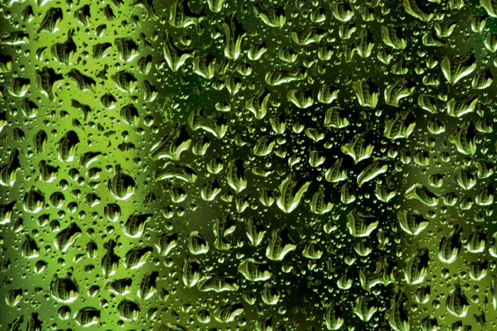 Raindrops
