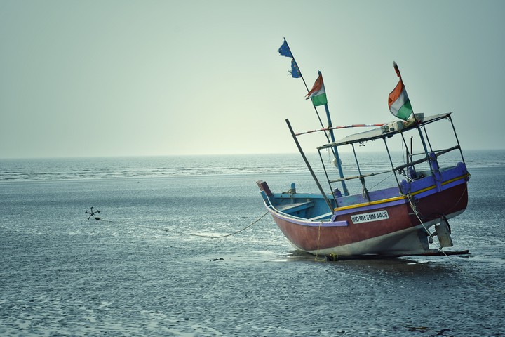 boats