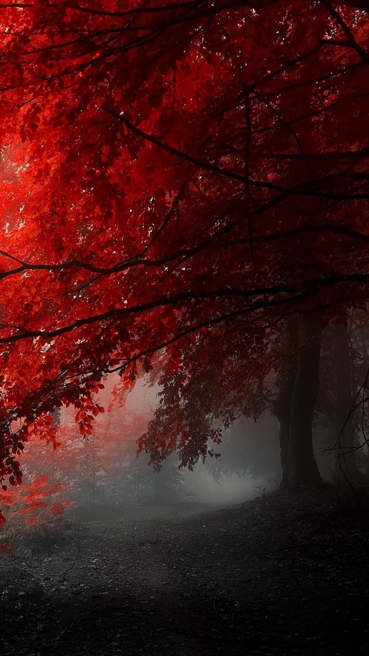 Red Tree