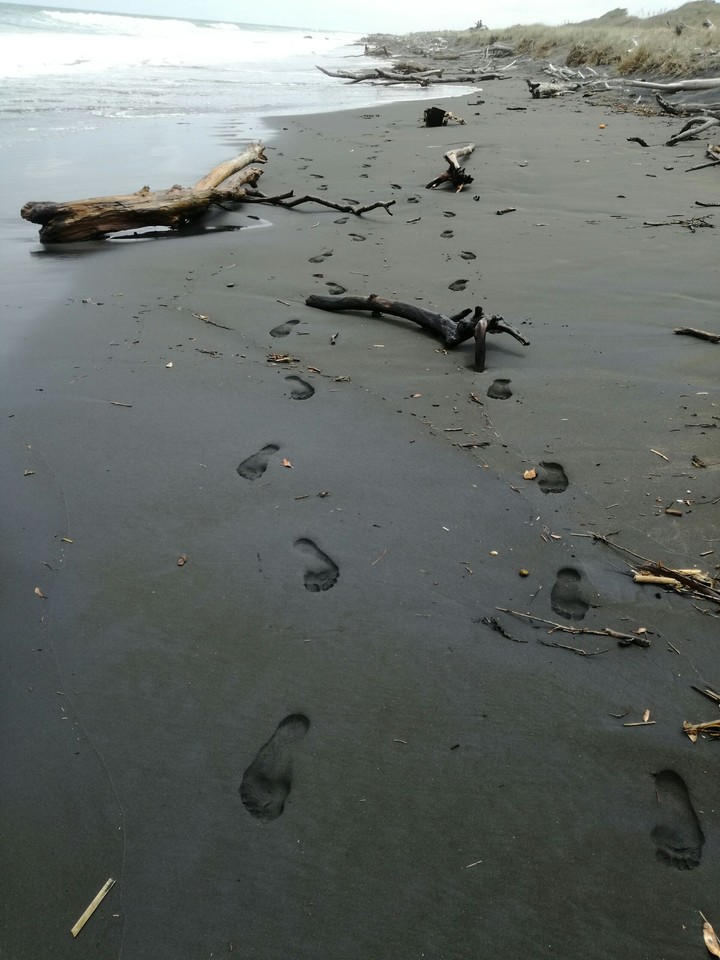 Footprints in the sand
