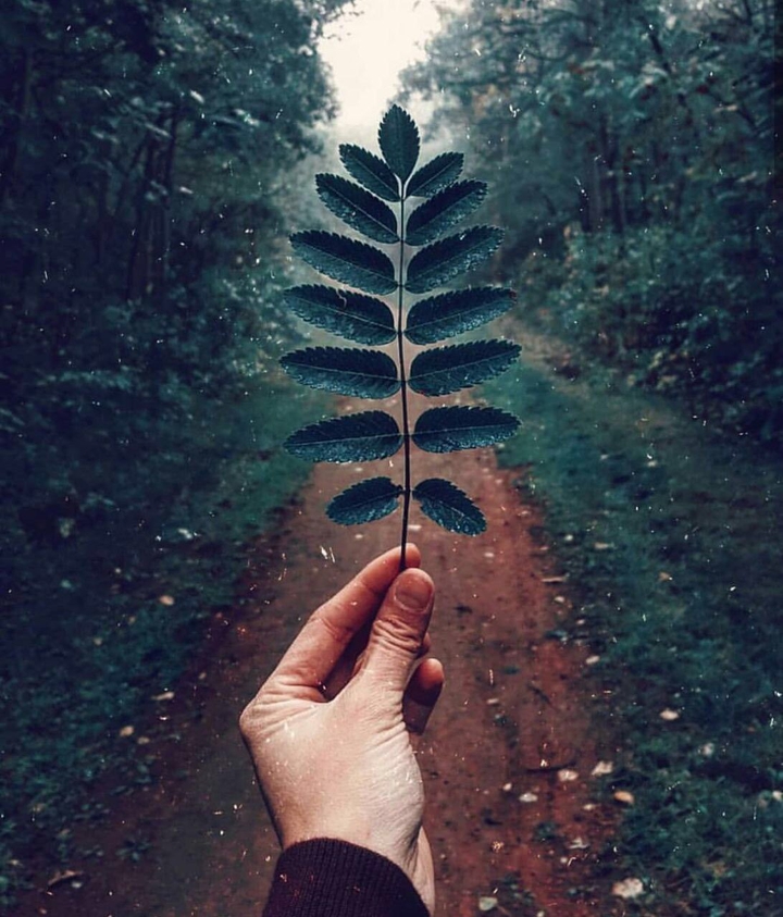 ,