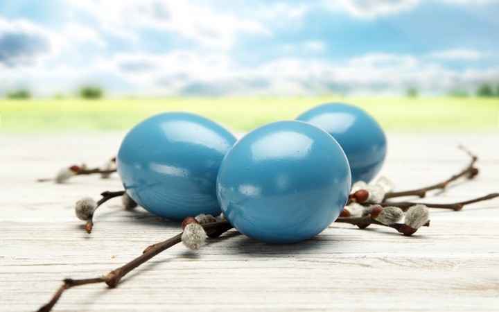 eggs