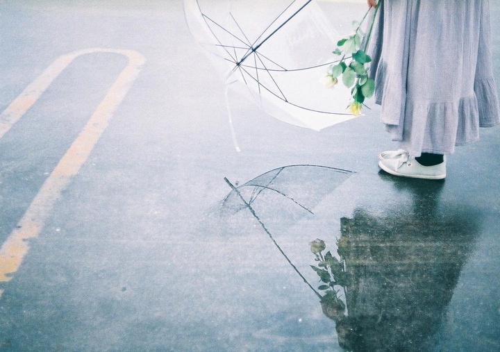 Reunion after the rain