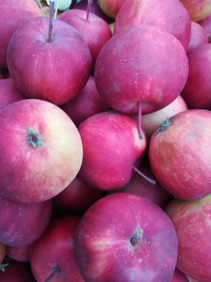 яблоки, apples