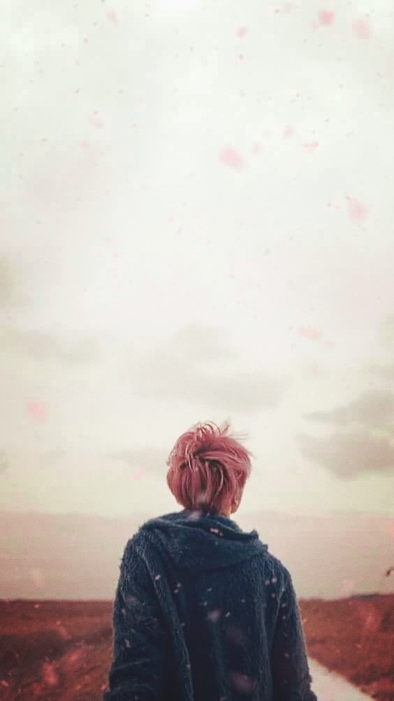 Jimin BTS