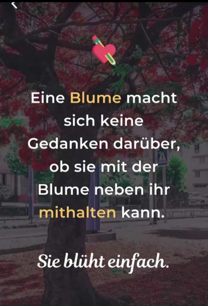 Blume