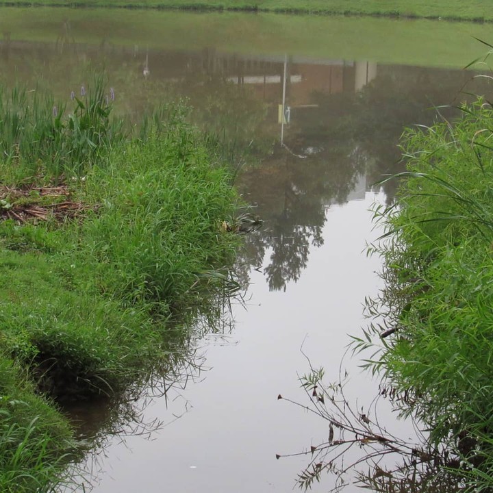 Stream leading to untold potential