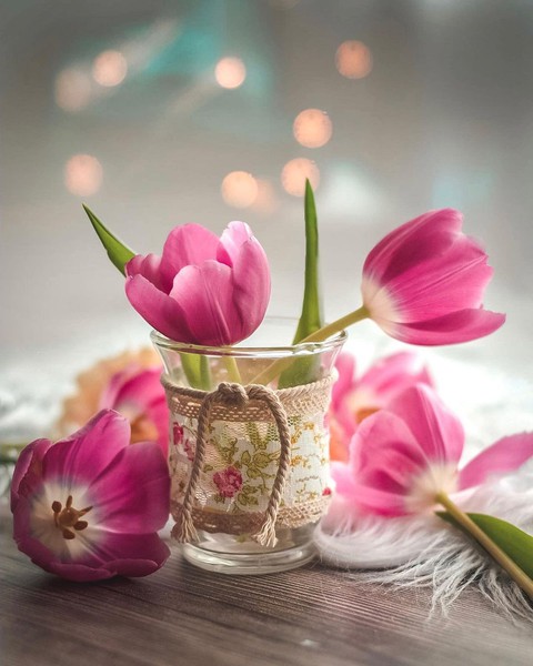 flowers
