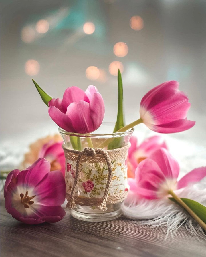 flowers