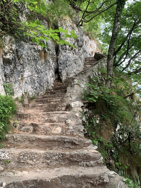 hình nền stones, tree