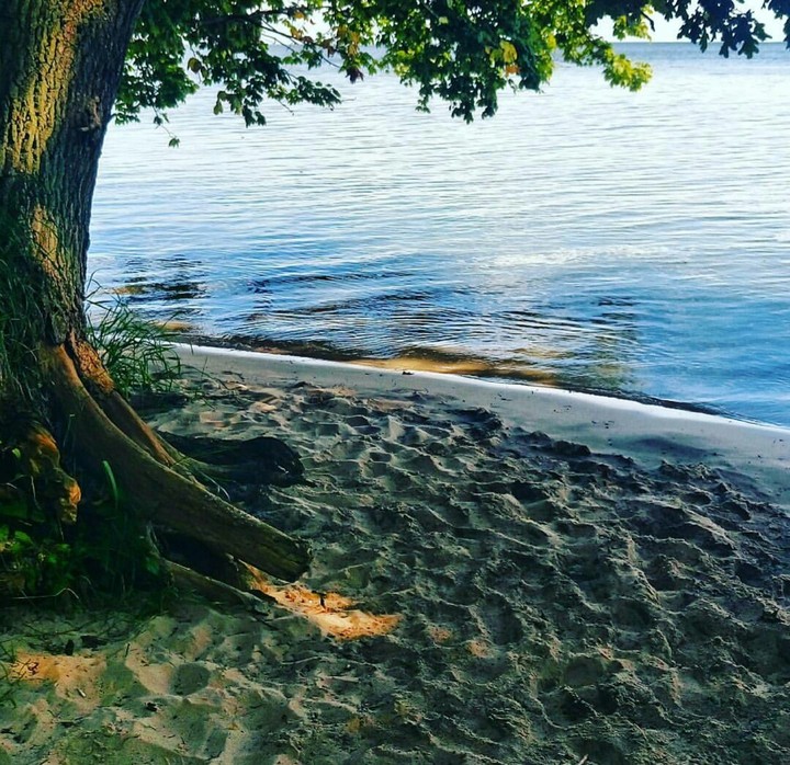 Sea Mood