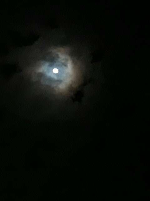 oooo