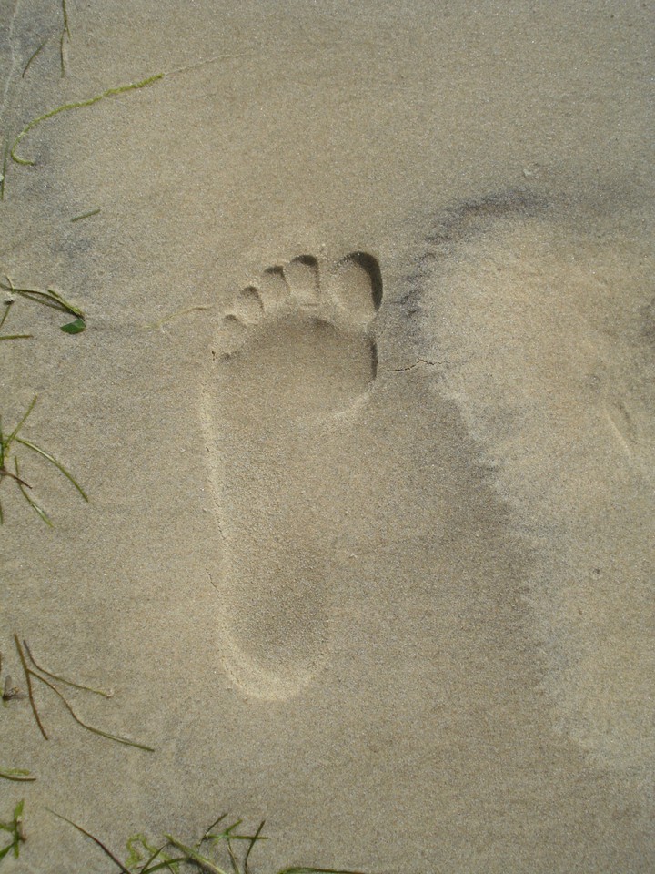 Footprint
