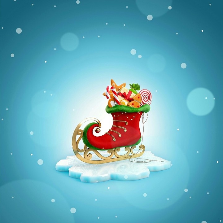 santa shoe