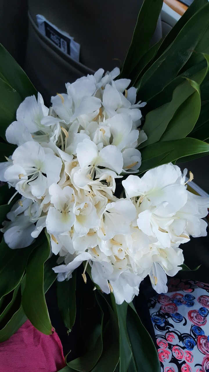 Flowers.. ❤