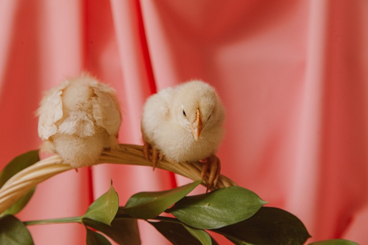 cute