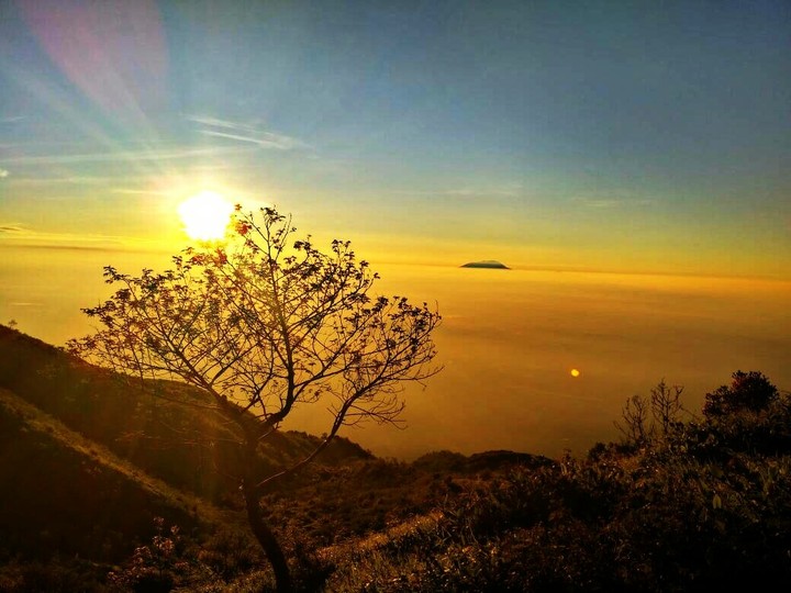 sunrise