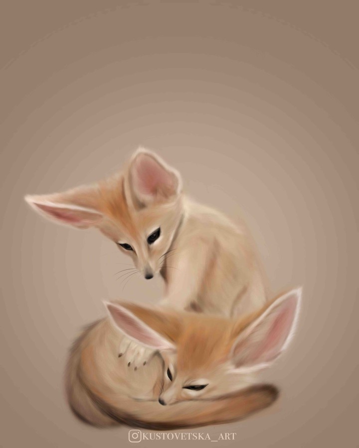 Fennec fox