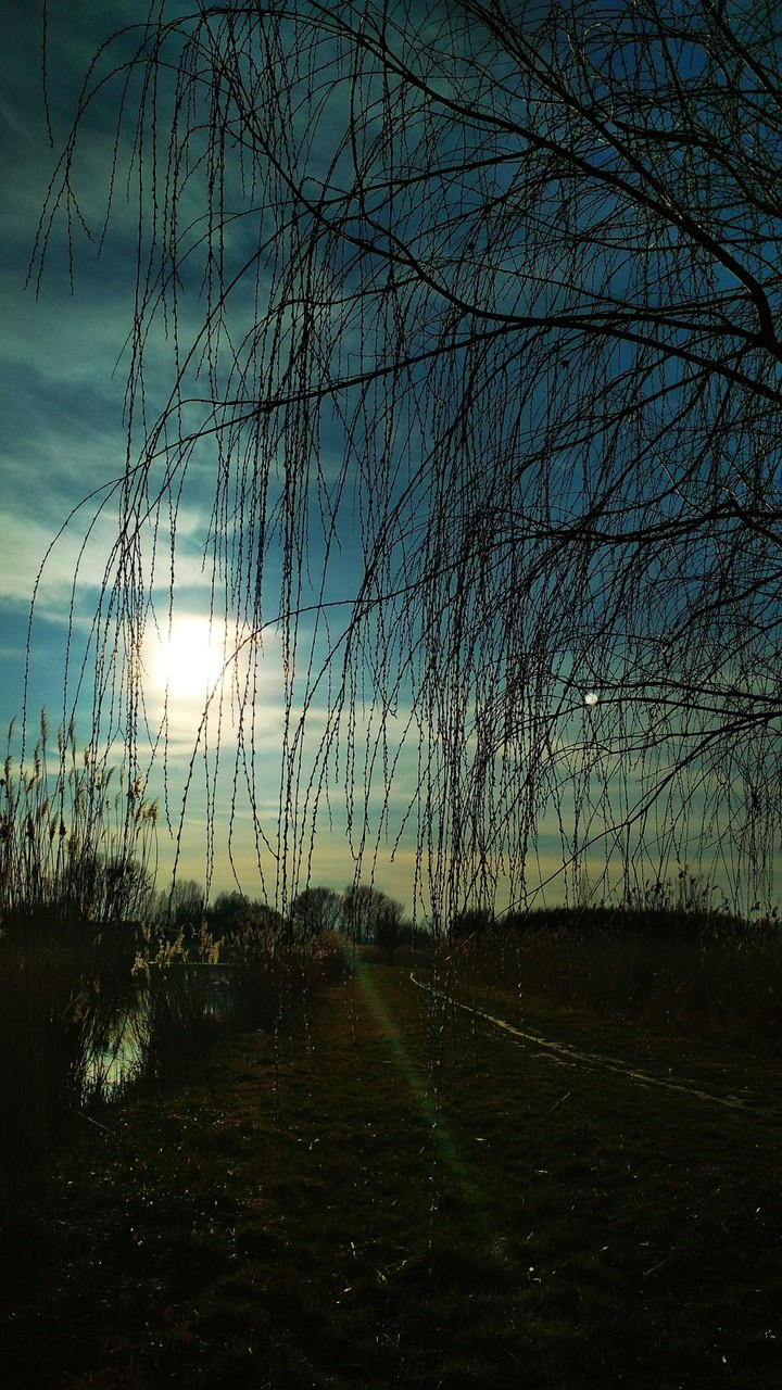 sun