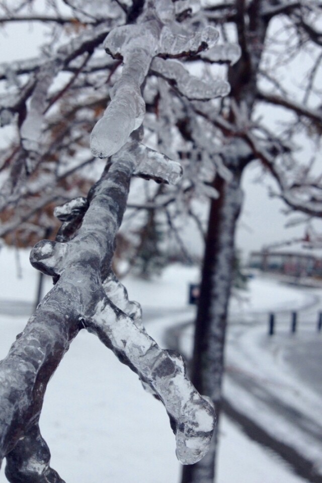 As Frozen