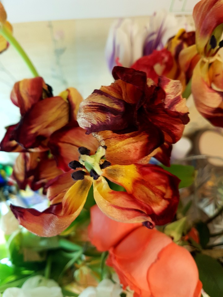 flower