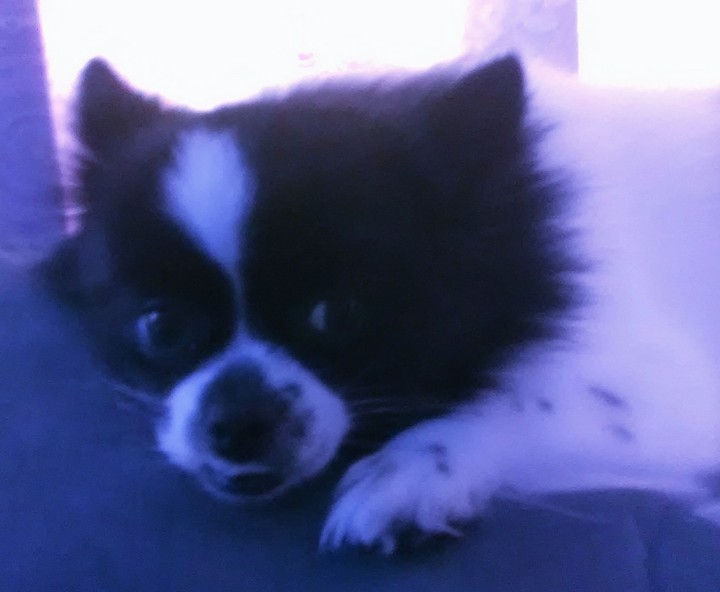 Annabell relaxing