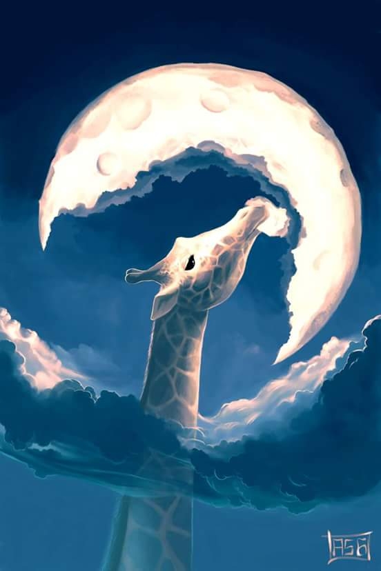 giraffe