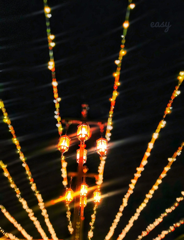lights love
