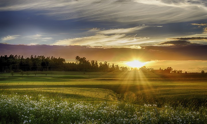 Sunny morning