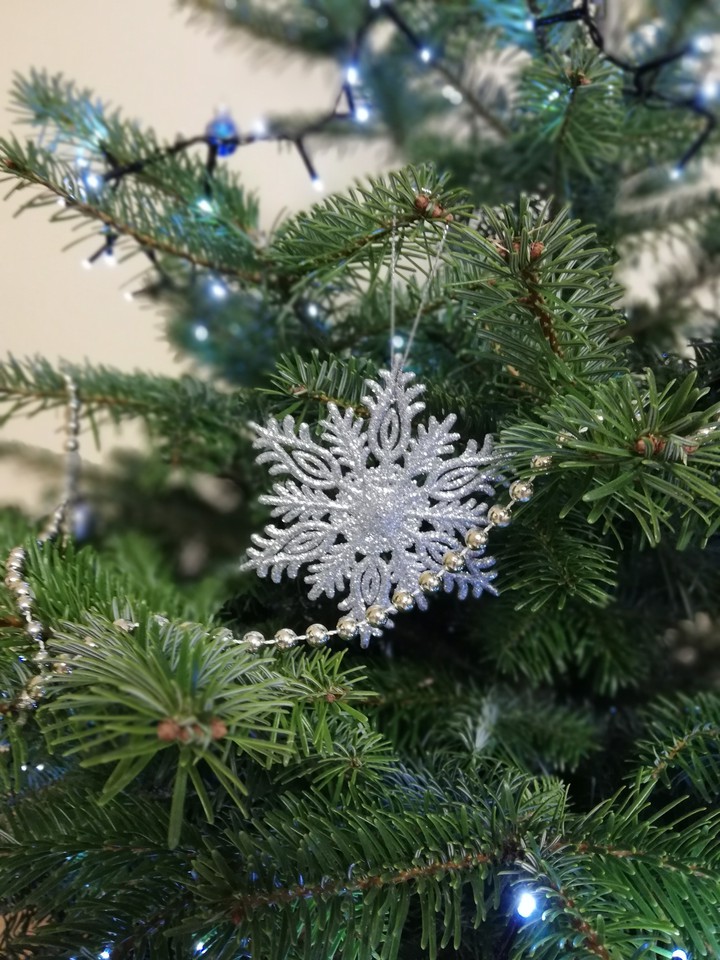 Christmas