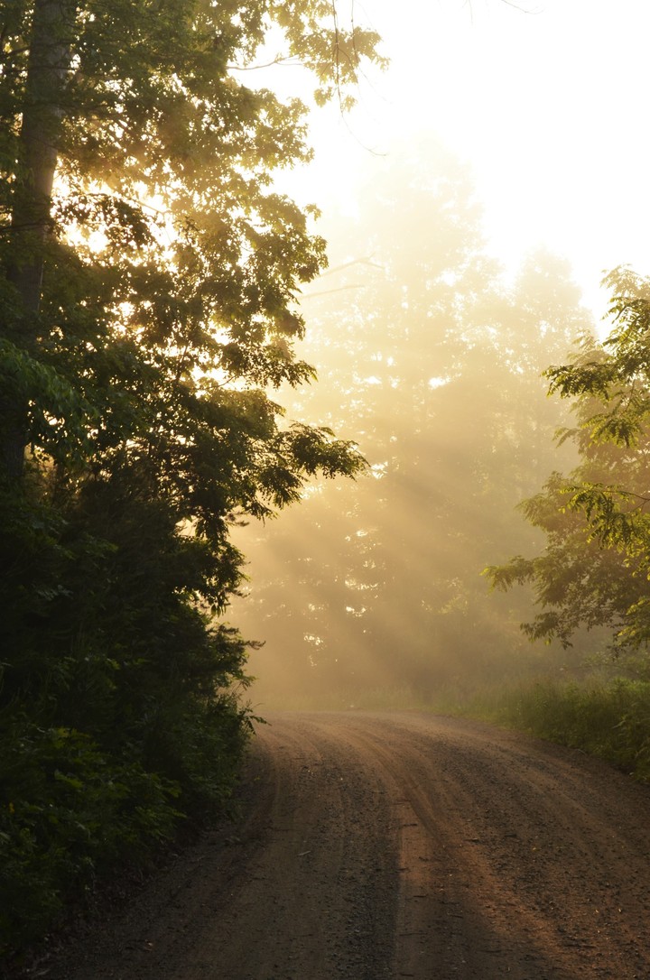 early morning sun