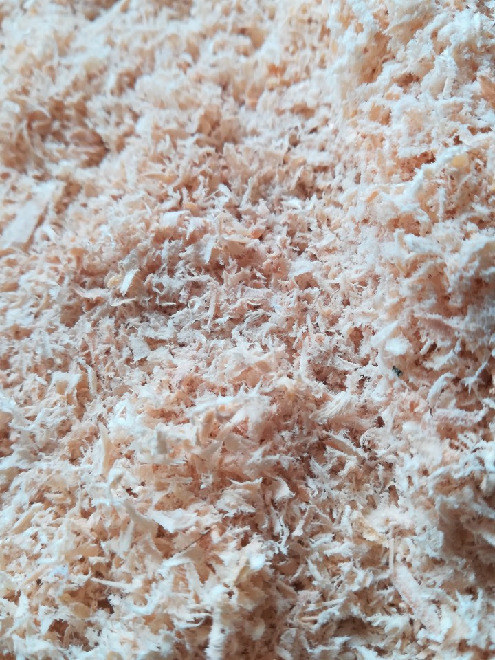 Holz
