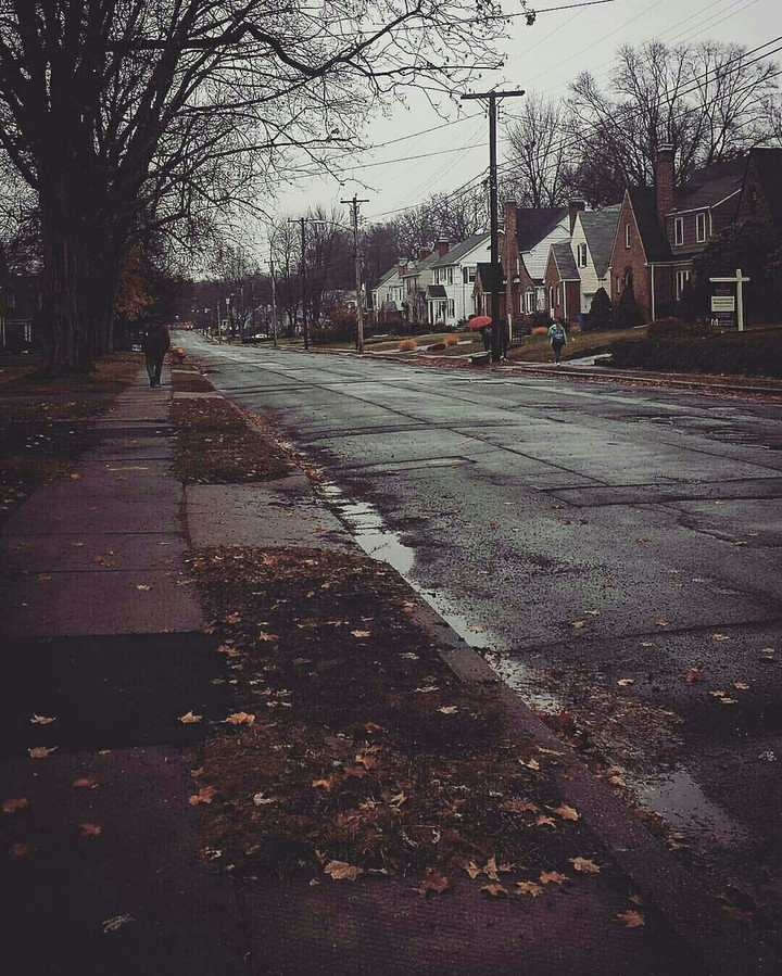 Autumn road