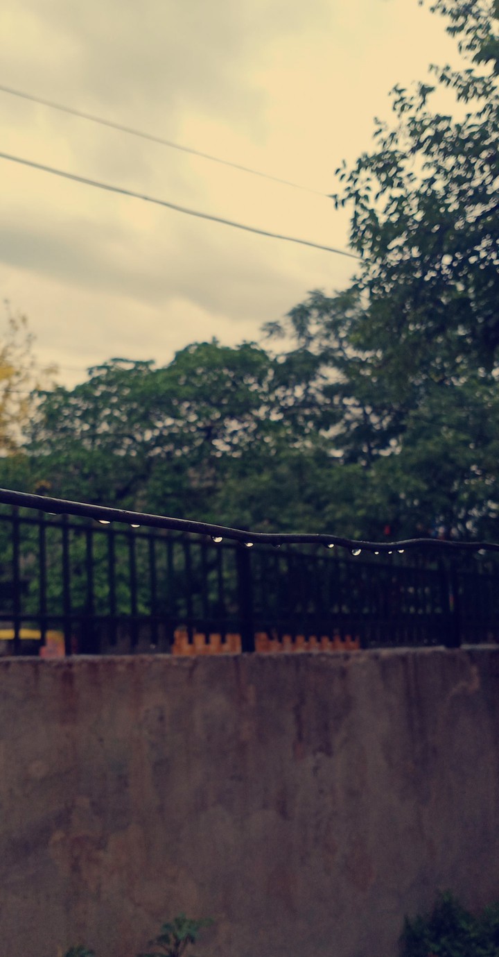 after rain