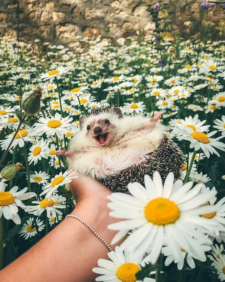 Happy
