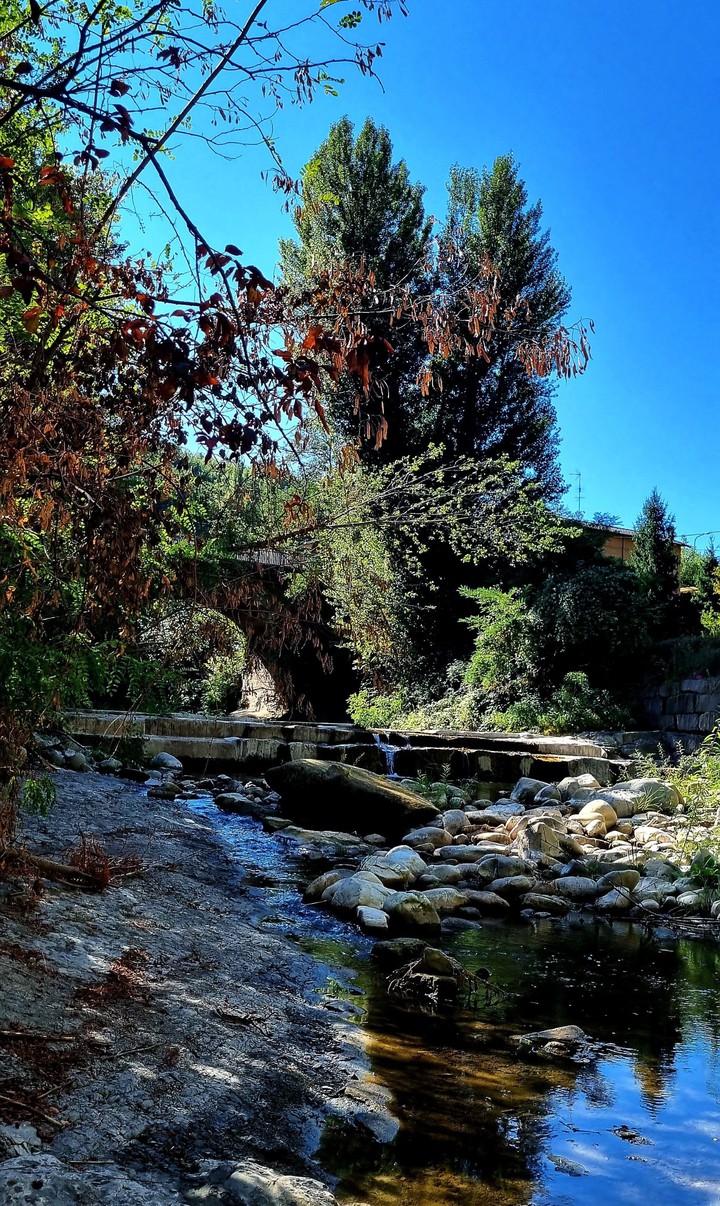 profumo d'autunno