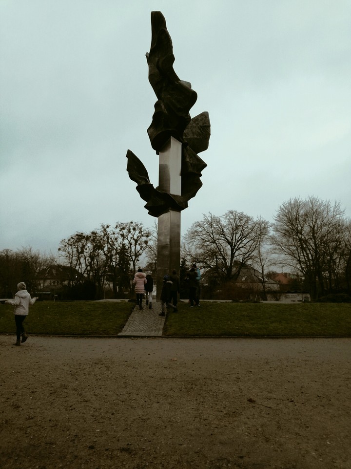 Szczecin trzy ptaki