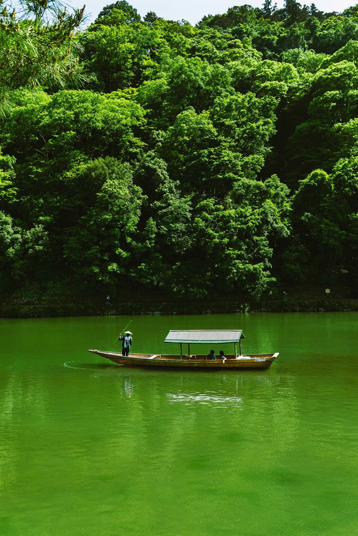 beautiful view in the nature❤
