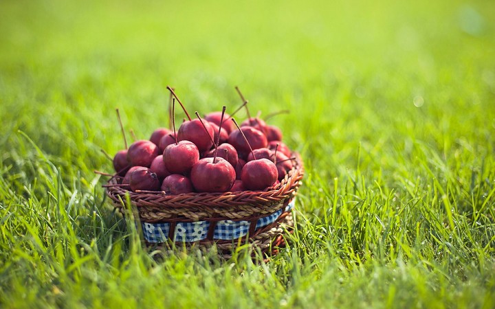 ♥Small red apples