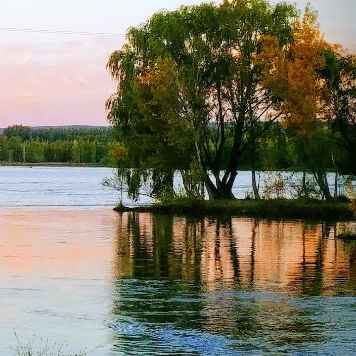 Reflejos