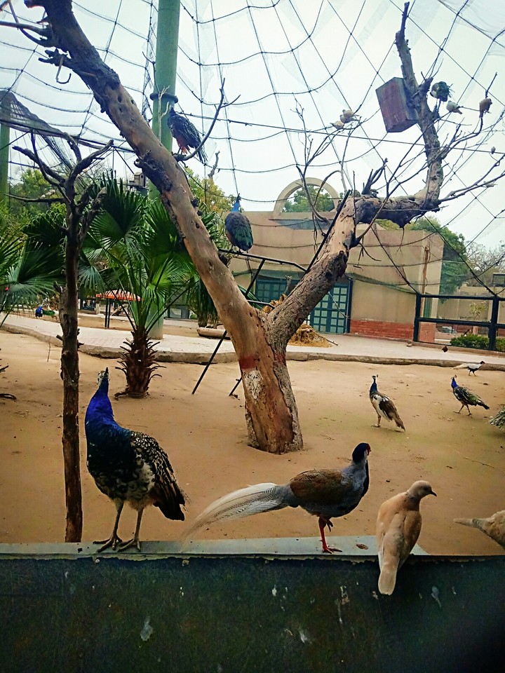 #Pakistan #Lahore